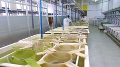 Centro de�Cultivos Mari�os de Ribadeo