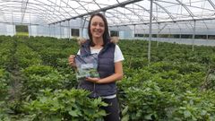 Marta Novoa Fern�ndez tiene una plantaci�n de 8.500 metros cuadrados en los que cultiva pimientos, tomates y lechugas
