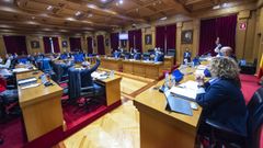 Pleno celebrado este viernes en la Diputaci�n ourensana.