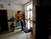 La ca�da de un �rbol sobre un tendido dej� ayer sin luz al CEIP de Ponte Sampaio y a la parroquia.