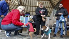 Una edici&oacute;n anterior del mercadillo