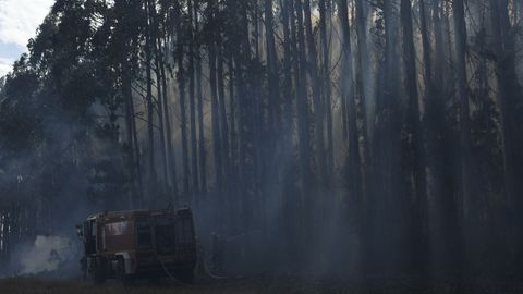 Incendio en una nave de pollos de Castro de Rei.