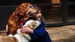 Ense�ar a querer a los animales puede resultar de gran ayuda educativa