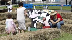 Mercado de la Cosecha 2018