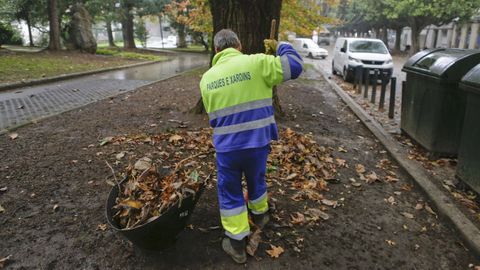 Jardinero en Ferrol.