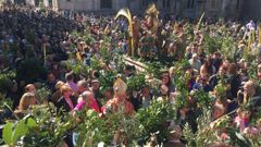Domingo de Ramos y procesi�n de A Borriqui�a en Lugo