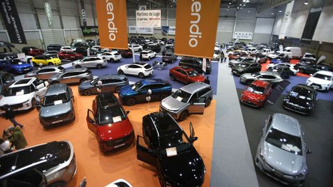 Pudieron verse m�s de 400 modelos.