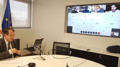 Caballero, en una imagen de archivo de una reuni�n telem�tica