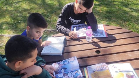 Alumnos do centro educativo estudando ao aire libre