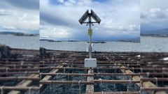 Servicios SPR Vilanova lleva diez a�os perfeccionando la tecnolog�a que aplica en sus c�maras de videovigilancia dise�adas para las bateas.