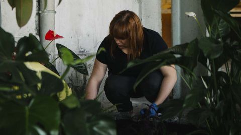 Mara Castellanos monta el Jardn Sensional en el almacn de la fbrica de armas de La Vega