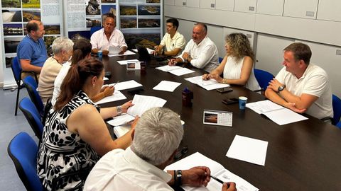 Pleno del Consorcio As Mari�as este jueves.