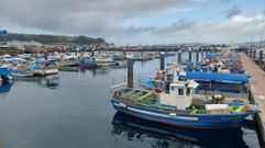 Puerto de Bueu, el principal para el sector de bajura en la r�a de Pontevedra