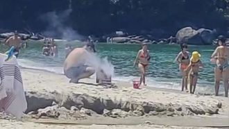 Un baista asa en la playa de Lapamn