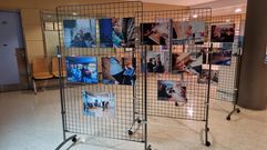 La exposicin est a la entrada del Hospital Comarcal de Valdeorras