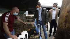 Pablo Casado visit� este lunes por la ma�ana una explotaci�n ganadera en Cospeito