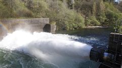 Salida de agua de la base de la presa de Vilasouto