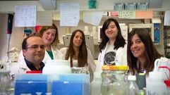 Oviedo lidera el hallazgo de un sistema de divisi�n celular que abre v�as a nuevos f�rmacos