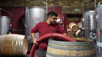 Iv�n Olmedo, en la bodega Finca M�llara, en la que trabaja desde noviembre del 2021