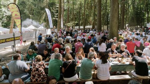 Festa do pulpo de O Carballi�o