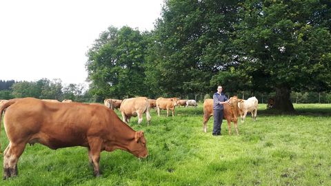 Pablo Daz ayer junto a parte de su rebao de vacas rubias en O Corgo