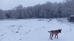 Nieve en los montes de A Lama
