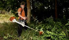 Por las ma�anas trabaja en el mar y por las tardes, tres o cuatro a la semana durante todo el a�o, cuida los montes de A Illa.