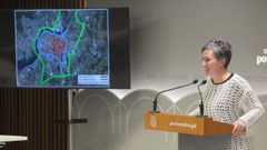 Eva Vilaverde present� este martes el operativo de tr�fico de Navidad en Pontevedra
