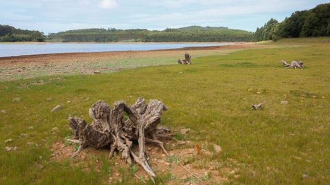 Imagen del embalse de As Forcadas tomada el viernes.