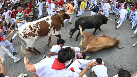 Uno de los toros se ha ca�do a su paso por el tramo de Telef�nica