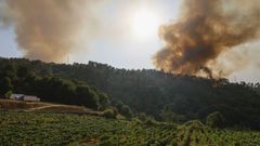 Arde el bosque de Ridimoas