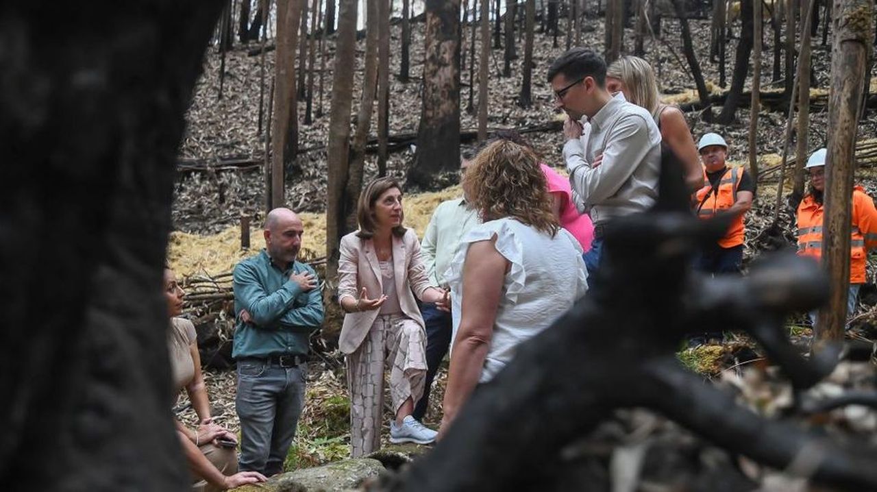 Augas de Galicia trabaja en regatos de Padrón para evitar el arrastre de cenizas del incendio forestal de junio