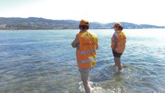 Patrulla de mariscadoras en las playas de Poio