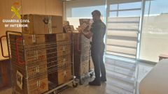 Se intervinieron m�s de 5.000 unidades de material pirot�cnico de categor�a F1.