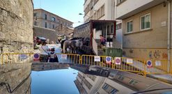 Los caballos situados en la calle Nostramo Lourido durante el domingo. 