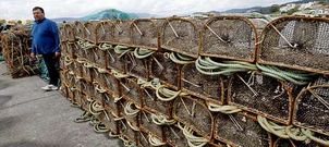 El inicio de la veda oblig� a los barcos de Bueu a traer las nasas a tierra, dej�ndolas en sus lugares habituales en el muelle.