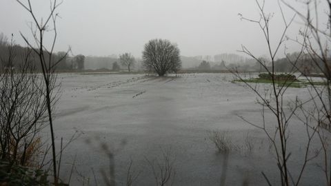 Campos anegados cerca del pol�gono industral de Pazos en Padr�n