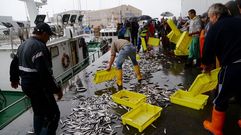 Protestas de pescadores de Cerco por la baja cuota de la anchoa