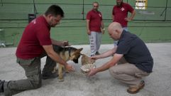 Adiestramiento en la escuela de formaci�n de gu�as caninos Cruz de Calatrava, en Oleiros. 