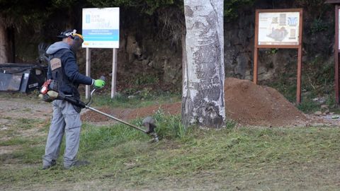 Un operario municipal realizando labores