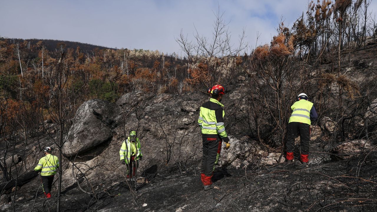 Incendios forestales: no son de mi incompetencia