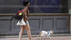 Una mujer pasea a su gato, este domingo en Oviedo