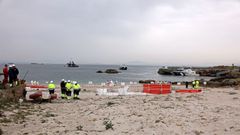 En la playa se instalaron elementos de contenci�n y un hospital de campa�a para animales.