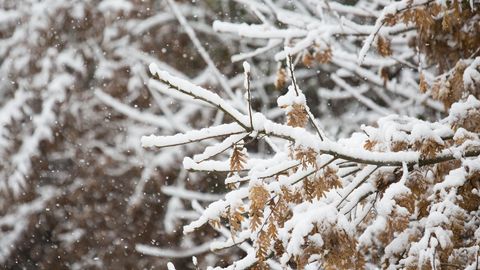 Nieve en Guitiriz