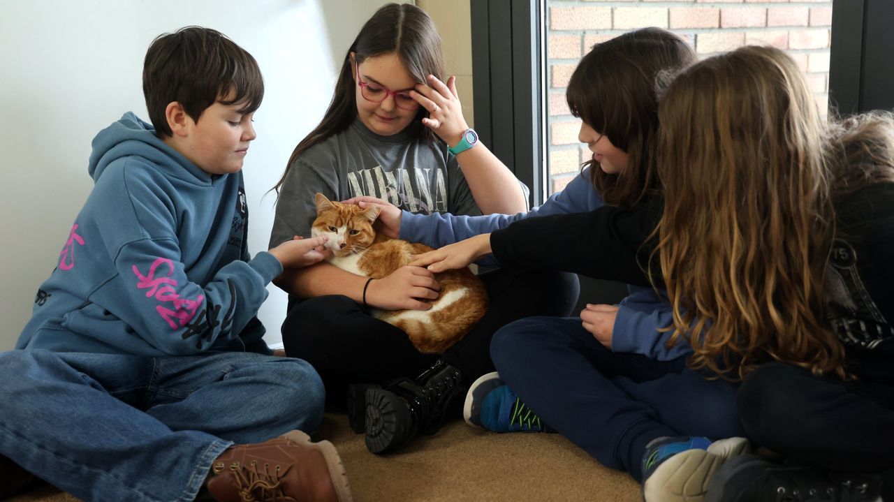 El CEIP Viñagrande despide a Eros, el guardián de la escuela: «Non era só unha mascota»