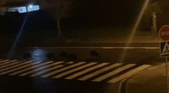 Jabal�es en Oleiros