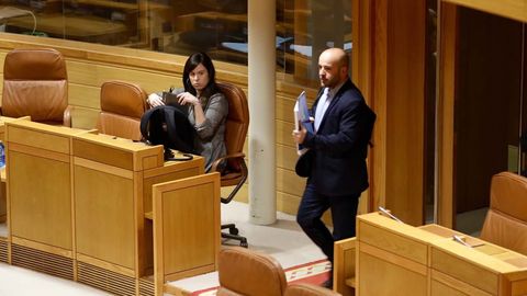 Paula Quinteiro y Lus Villares esta maana en el Parlamento