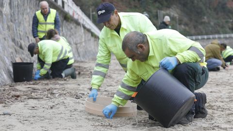 Operarios de TRAGSA recogen pellets de plstico, en la playa de Aguilar, a 9 de enero de 2024, en Muros de Naln, Asturias (Espaa). El Principado de Asturias ha activado el nivel dos de emergencia por el vertido de pellets de plstico en las playas de la regin.