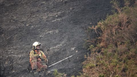 Bomberos de Asturias trabajan para extinguir las llamas en un incendio forestal