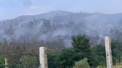 As� ha quedado el terreno incendiado en las Fragas do Eume